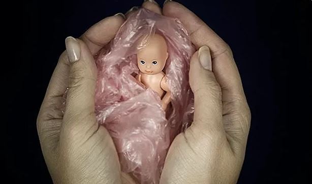 borti i friksham ne shqiperi-shifrat