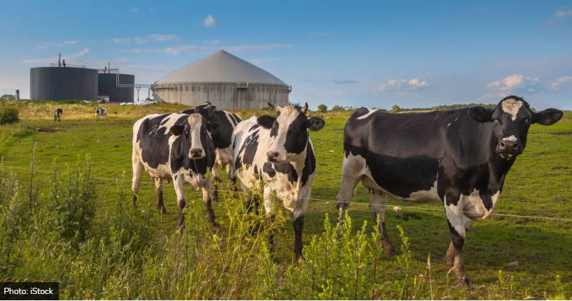 Biometan nga mbetjet e kafshëve.