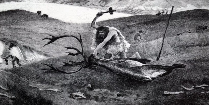 Si nisi shija e njeriut për mish?